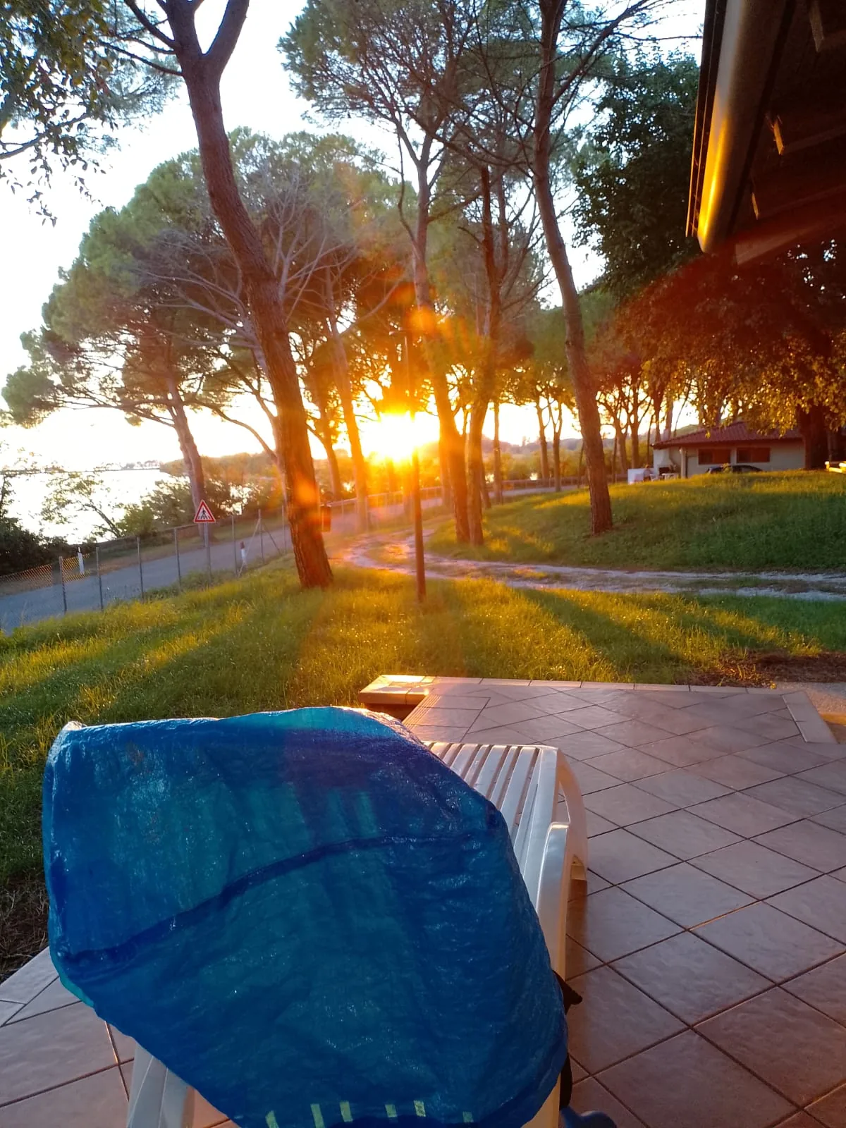 Sonnenuntergang zwischen Pinien beim Bungalow